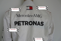 Lewis Hamilton (Mercedes 2018) F1 replica kartoverall