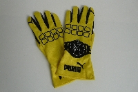 Nico Rosberg (Mercedes 2013) F1 replica handschoenset 