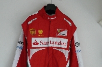 Fernando Alonso (Ferrari 2013) F1 replica kartoverall