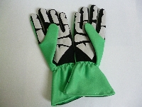 Nico Rosberg (Mercedes 2014) GROEN F1 replica handschoenset 