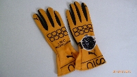 Nico Rosberg Special edition (Mercedes 2014) F1 replica handschoenset