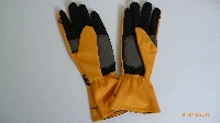 Nico Rosberg Special edition (Mercedes 2014) F1 replica handschoenset